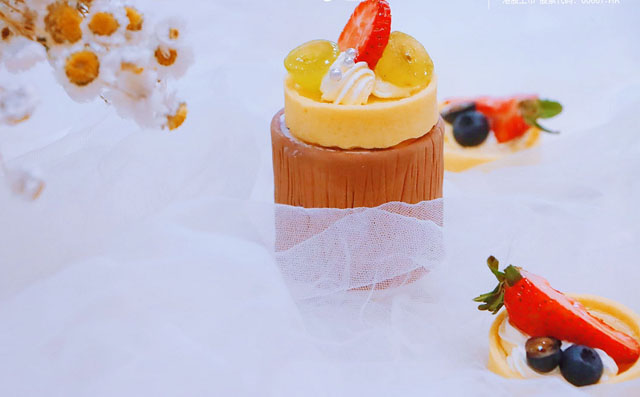 ��ʽ����